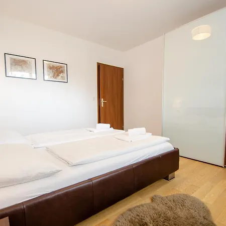 Ski In/ski Out Cityxpress Apartment Zell am See
